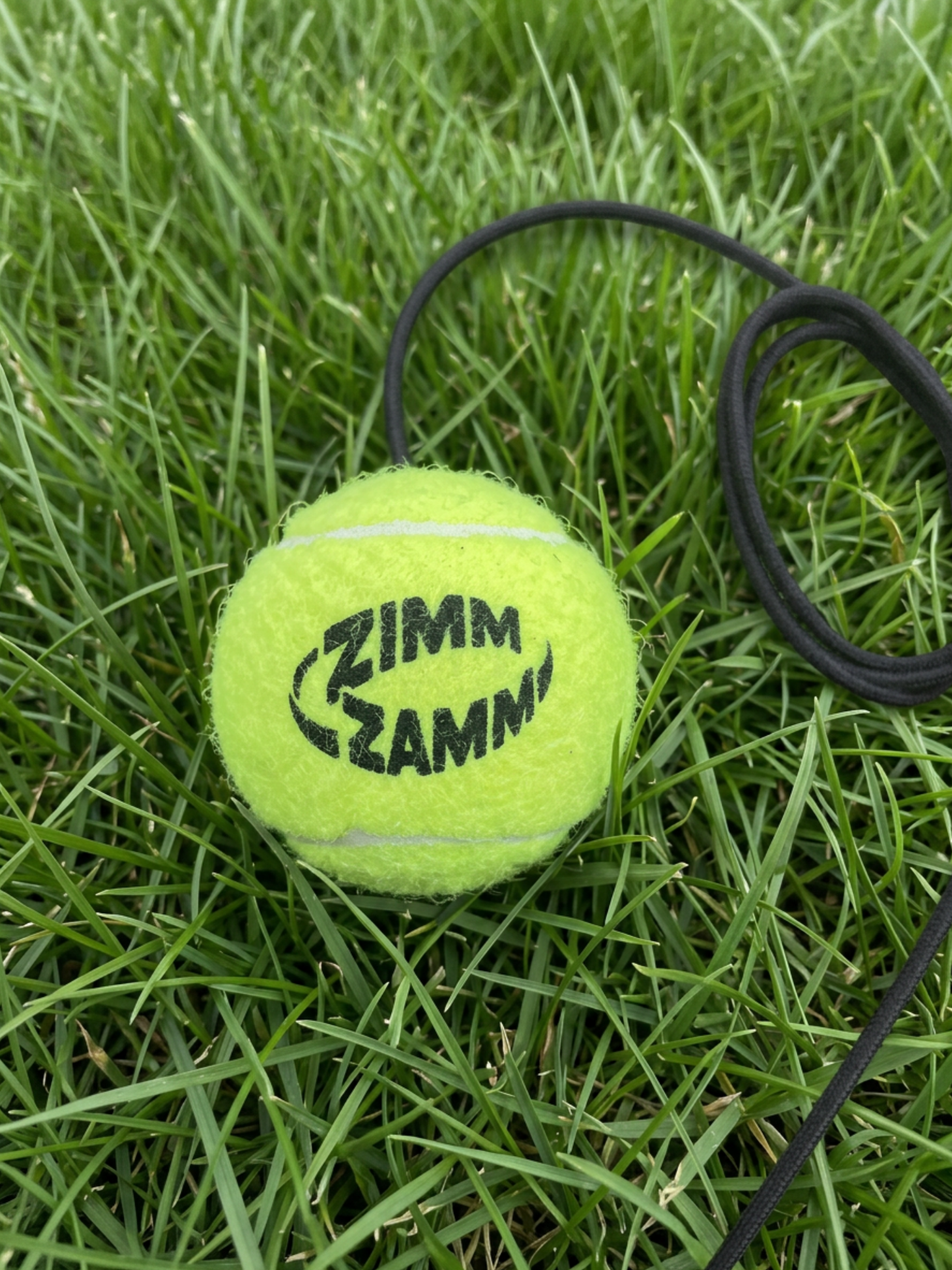 Replacement ball